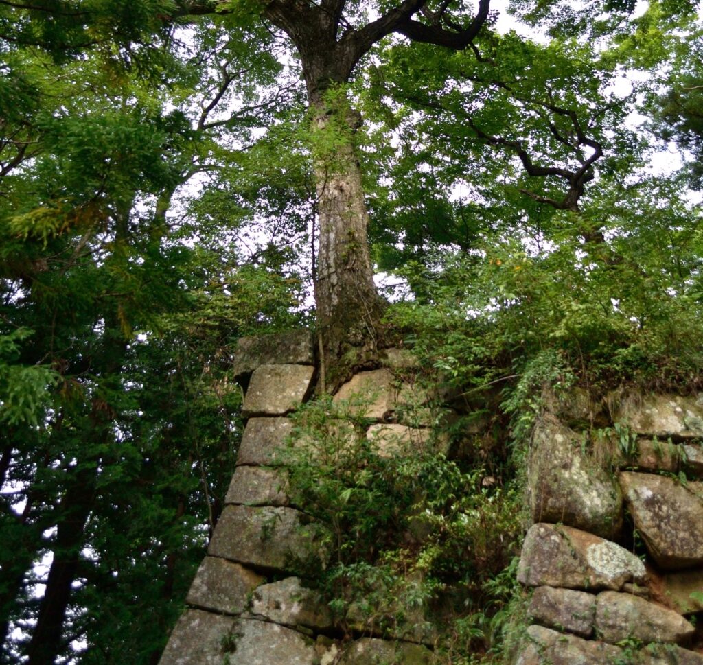 笠間城