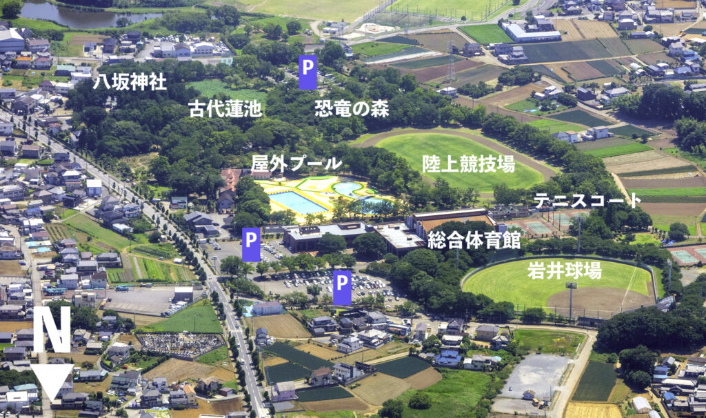八坂公園