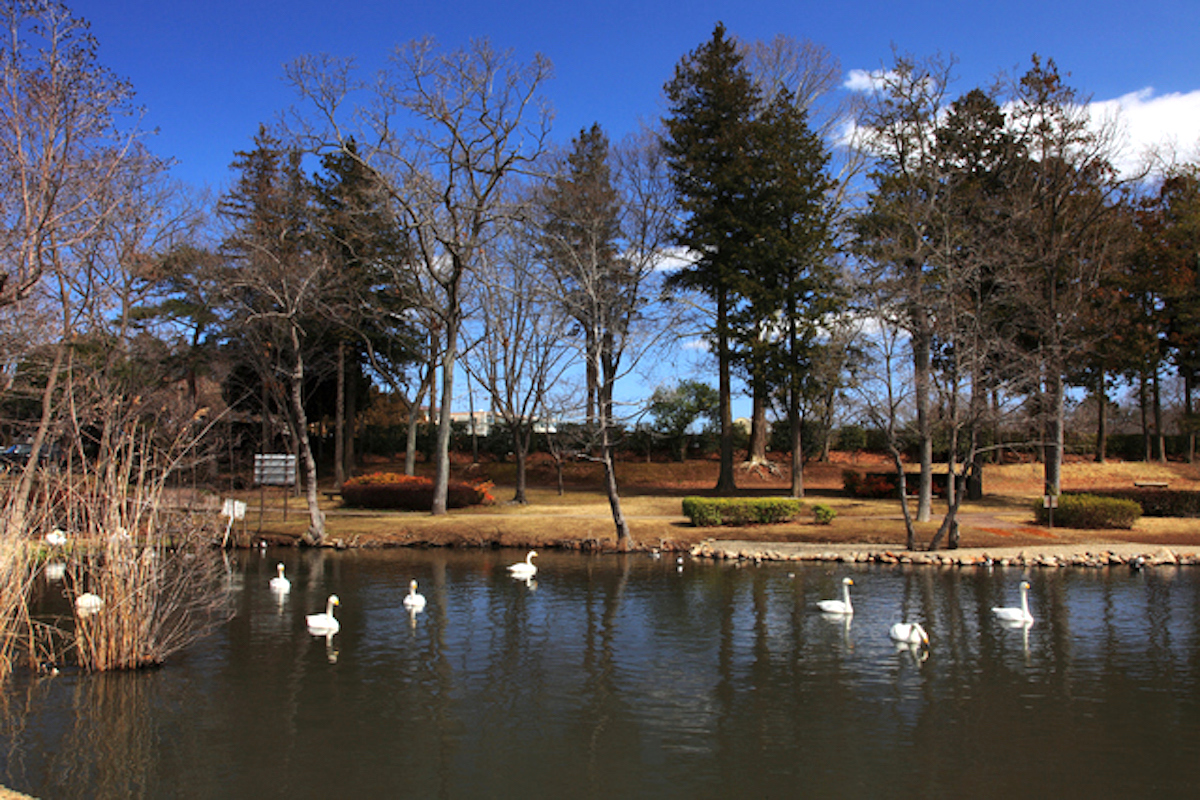 大塚池公園
