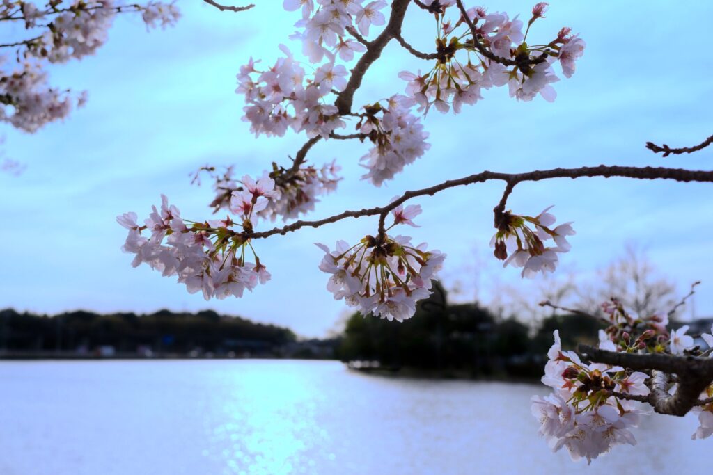 大塚池公園