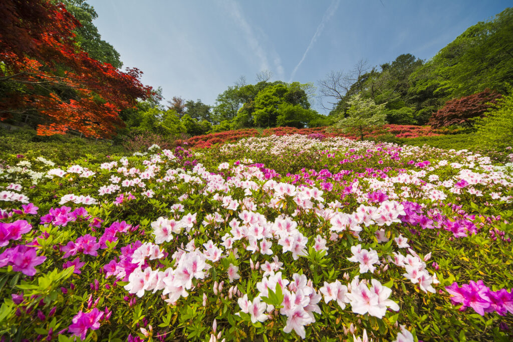 卯辰山公園