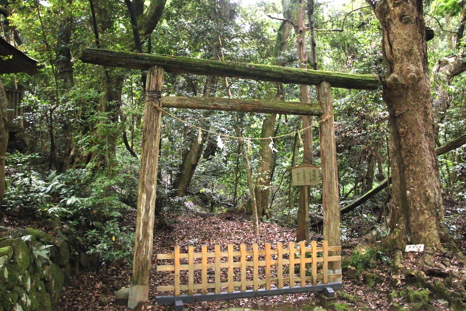 気多大社