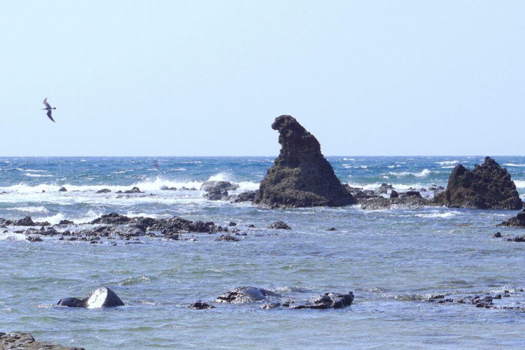 ゴジラ岩