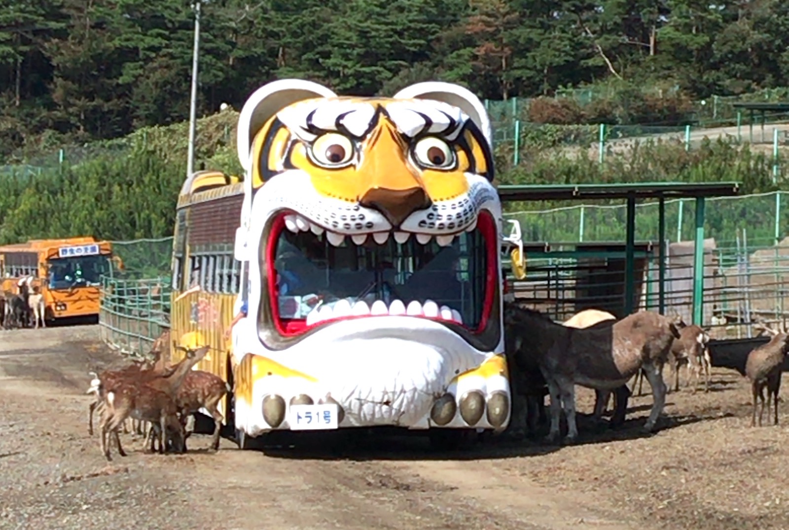 岩手サファリパーク