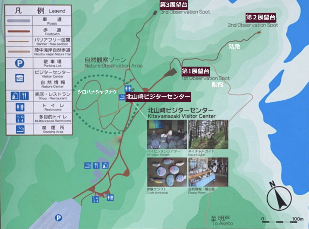 北山崎園路