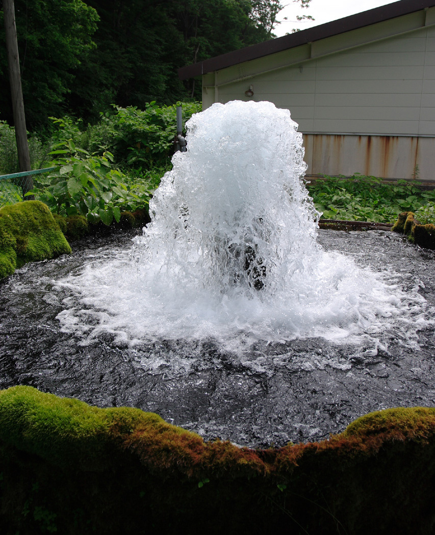 金沢清水（岩手県内水面水産技術センター「座頭清水」）