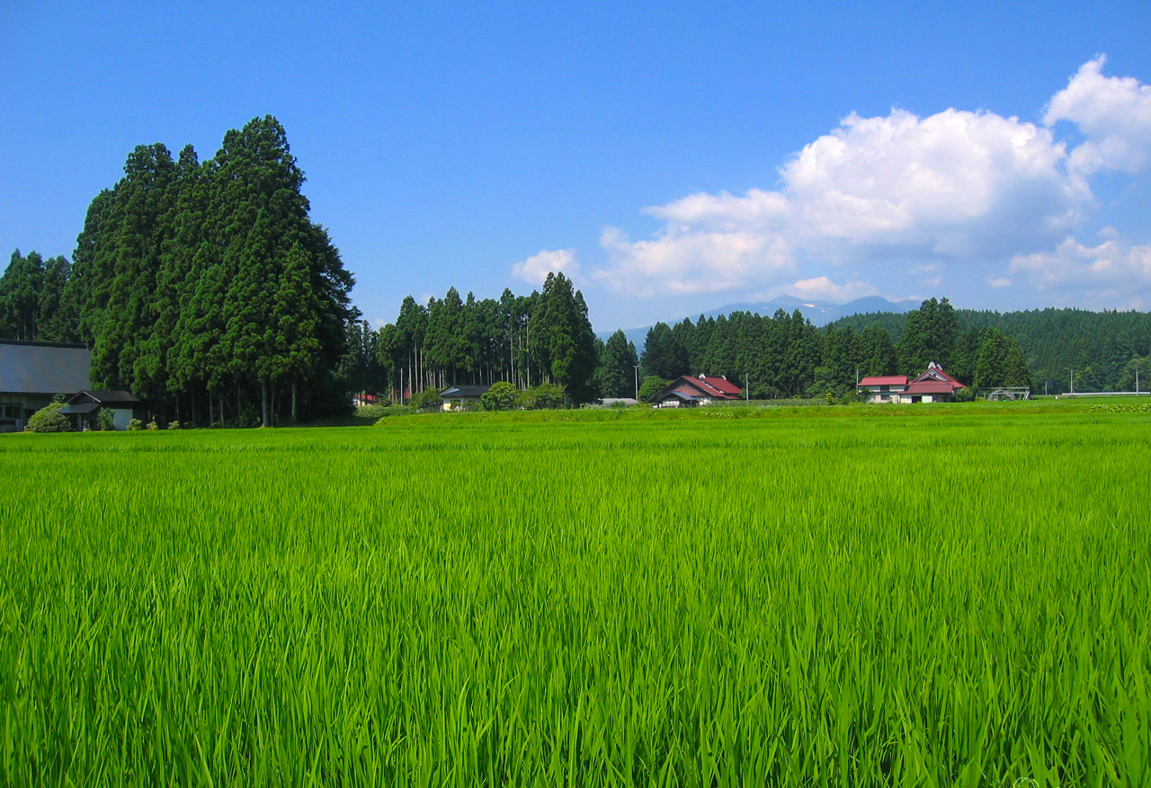 骨寺荘園遺跡