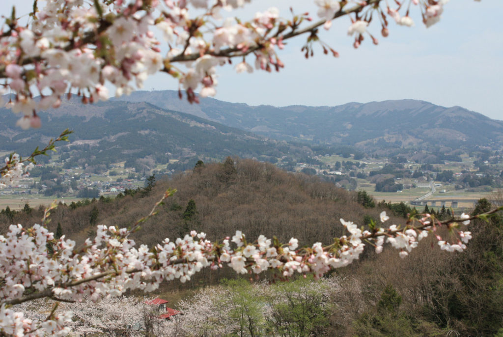 金鶏山