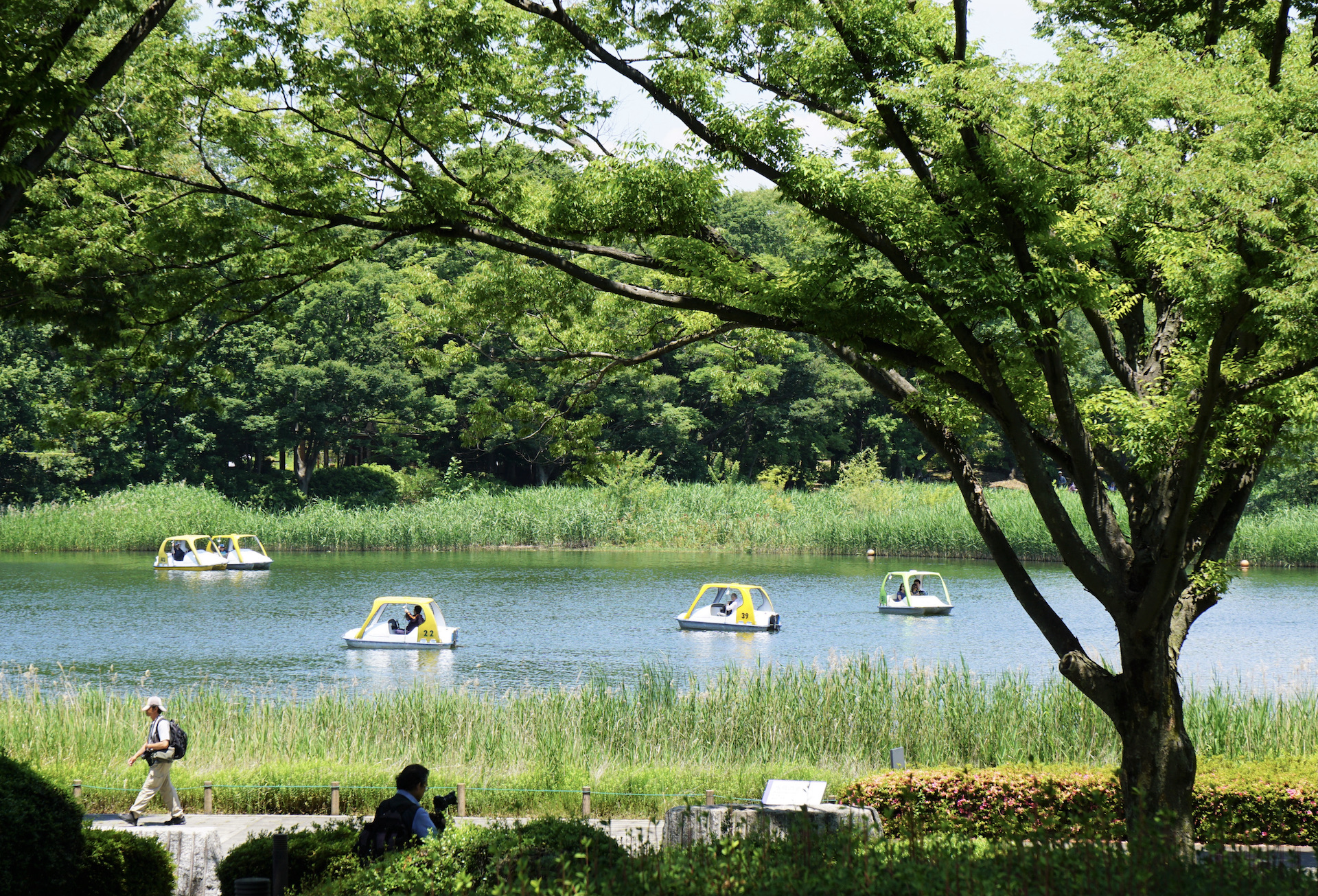 昭和記念公園・ボート池