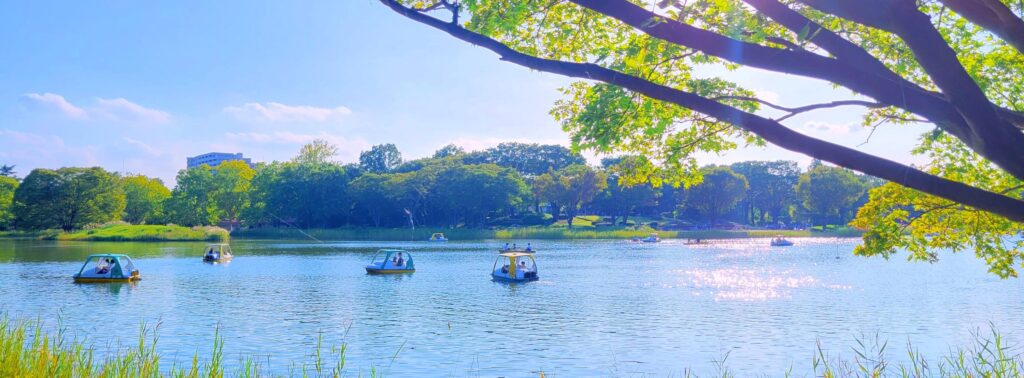 昭和記念公園・ボート池