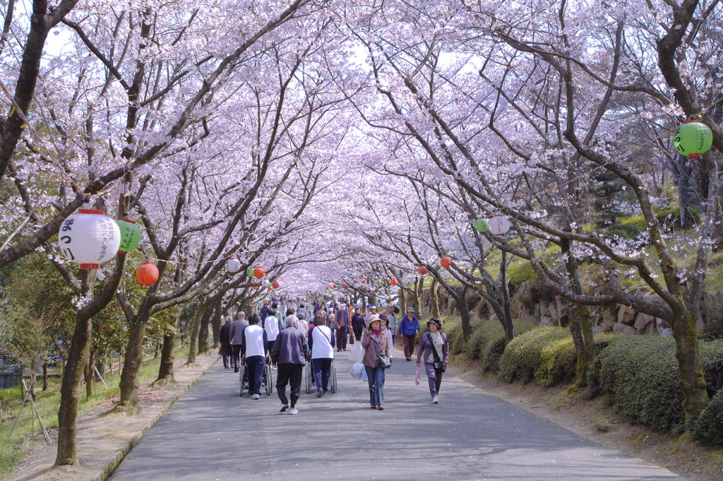 公渕森林公園