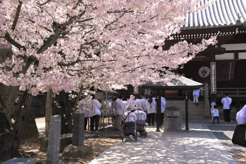 曼荼羅寺（四国八十八ヶ所霊場第72番札所）