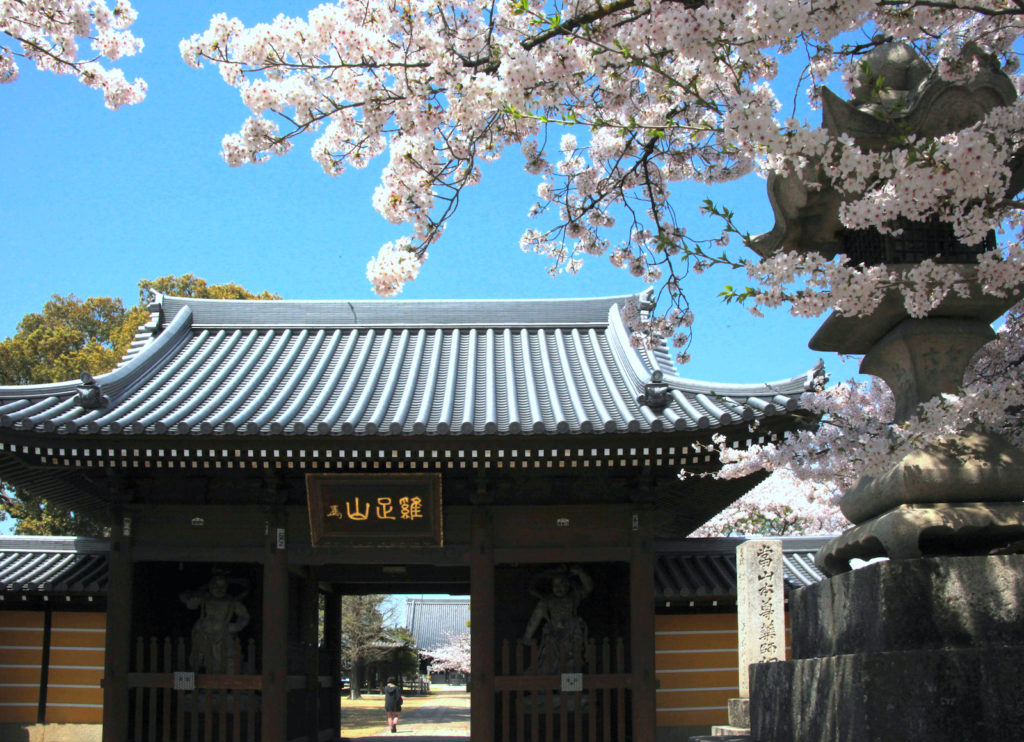 金倉寺（四国八十八ヶ所霊場第76番札所）