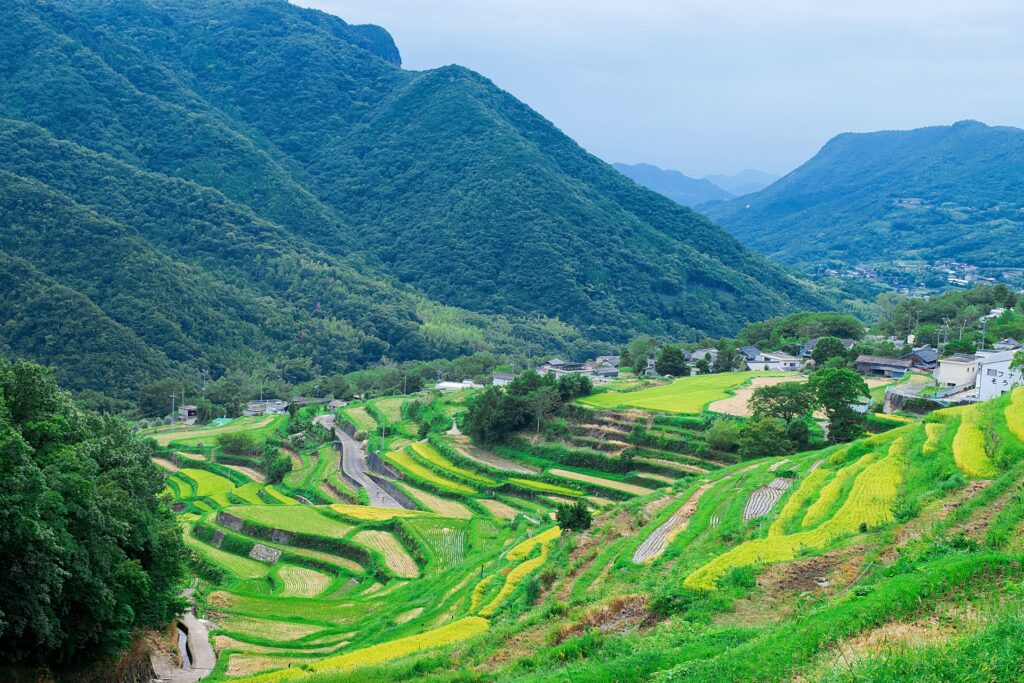 中山千枚田