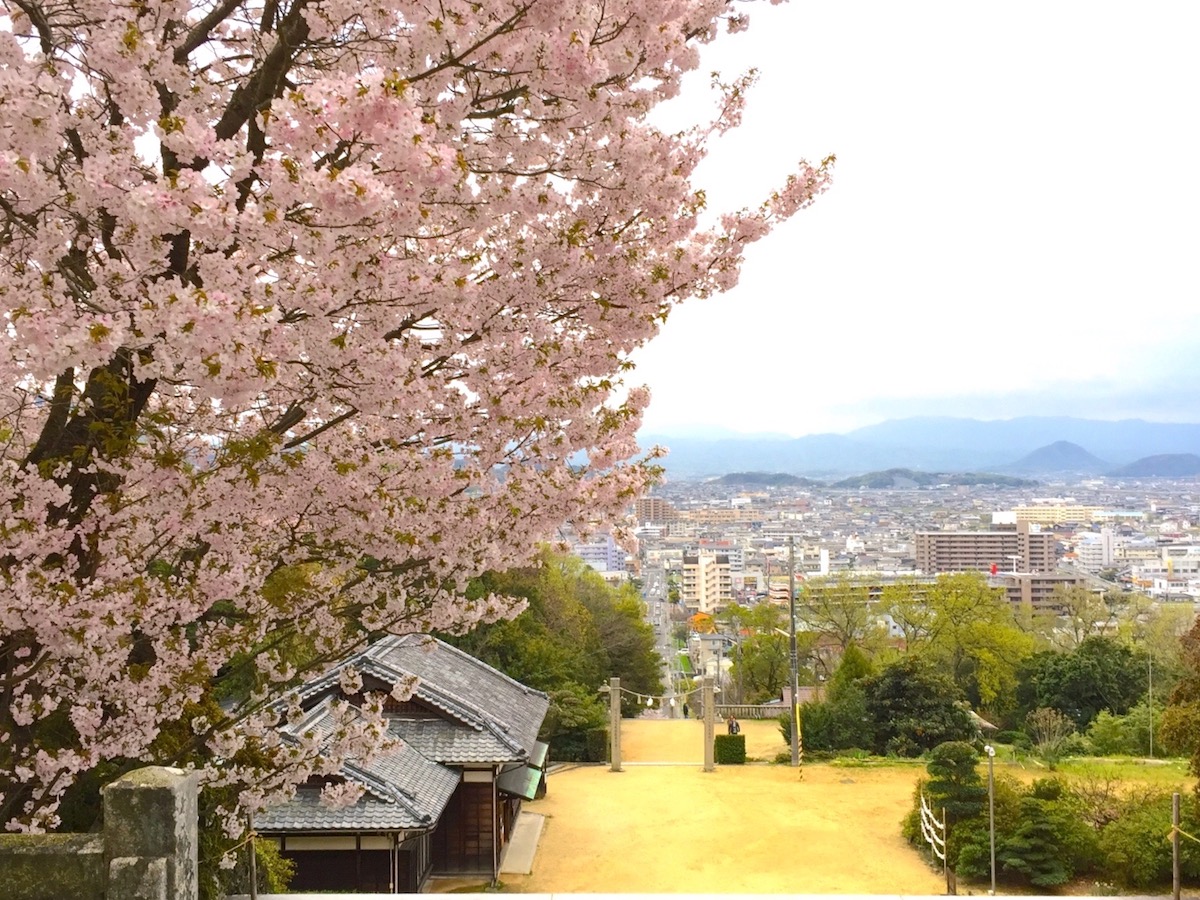 讃岐東照宮 屋島神社