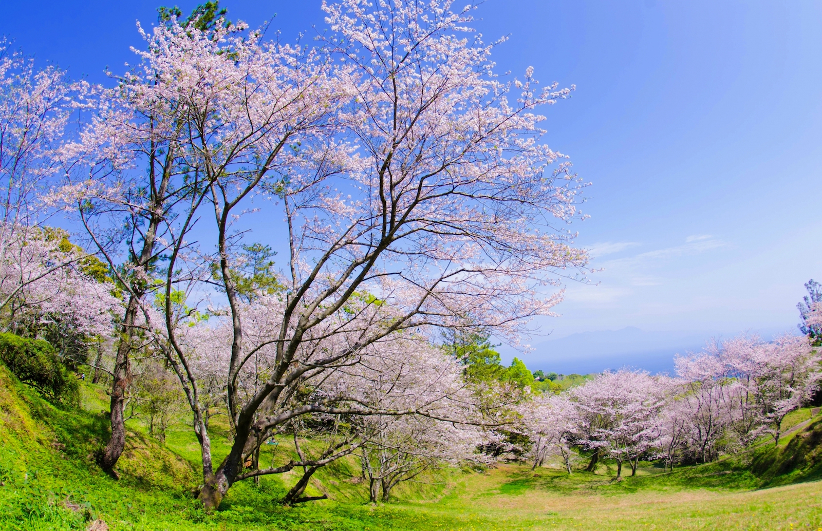 魚見岳自然公園