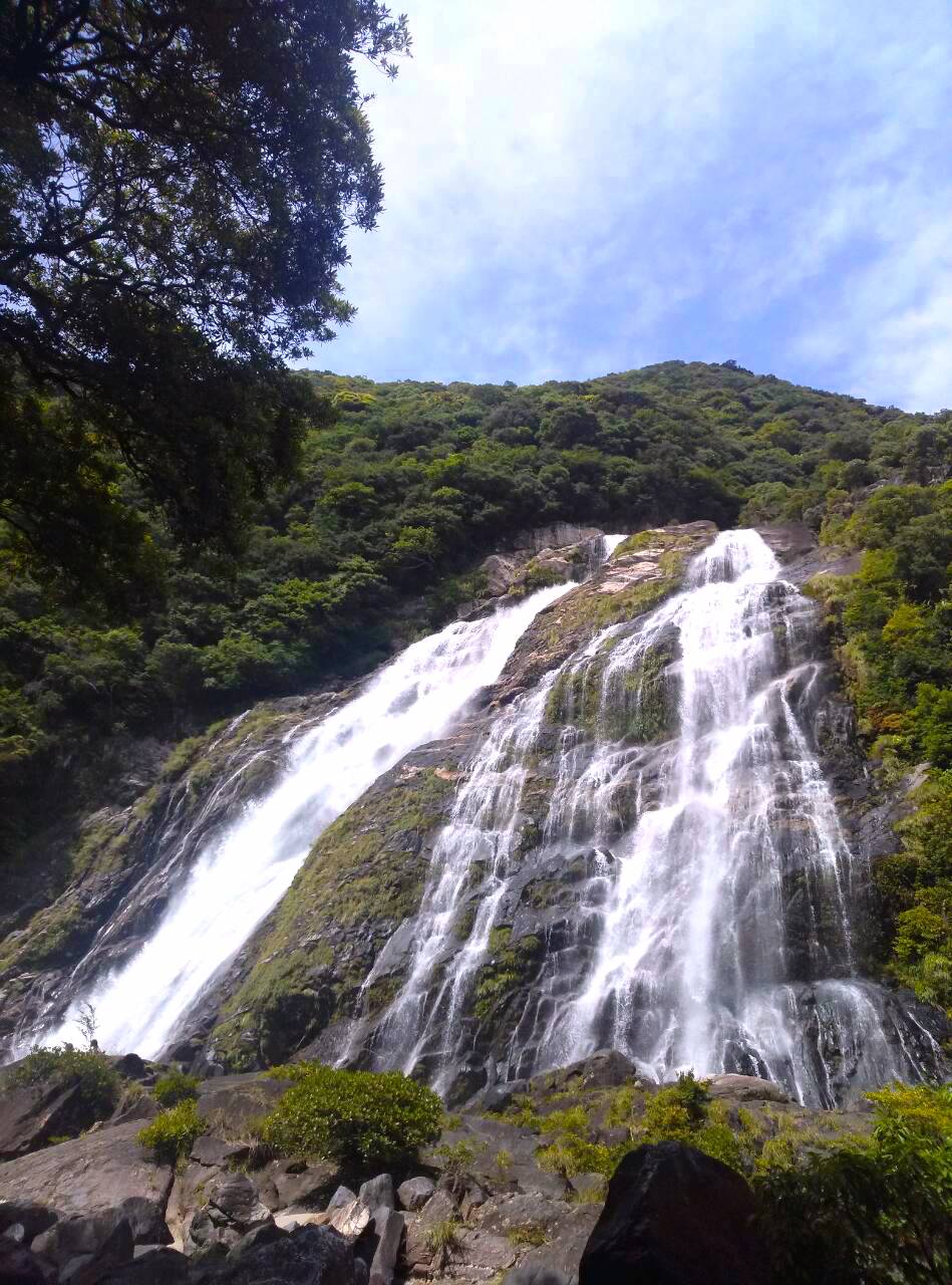 大川の滝