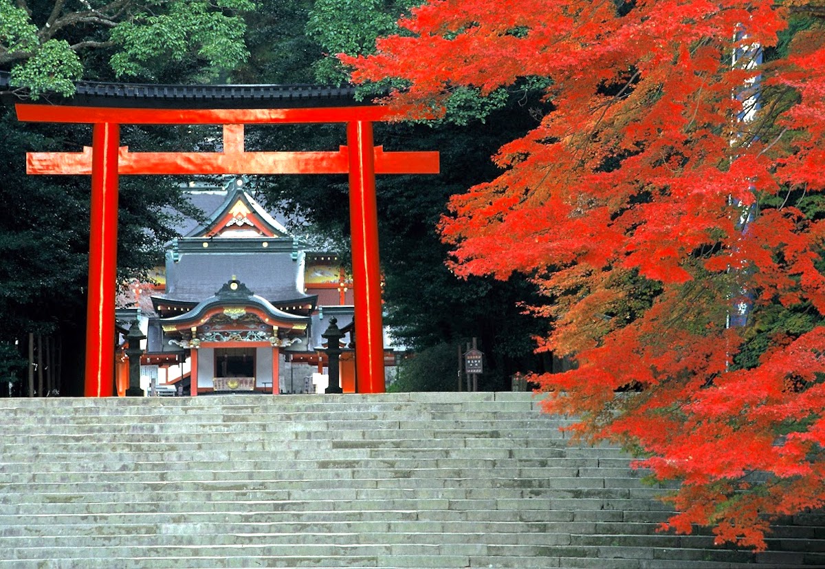 霧島神宮 | ニッポン旅マガジン