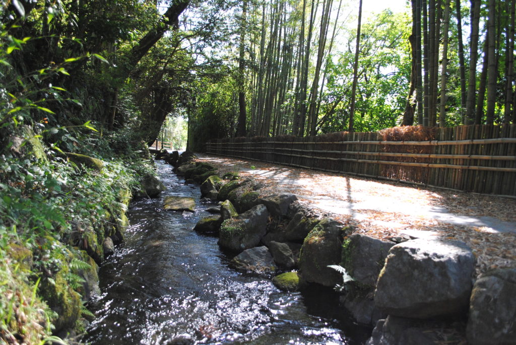 霧島山麓丸池湧水