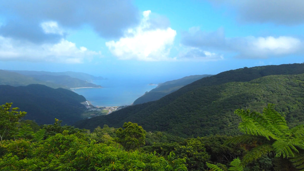 油井岳展望台
