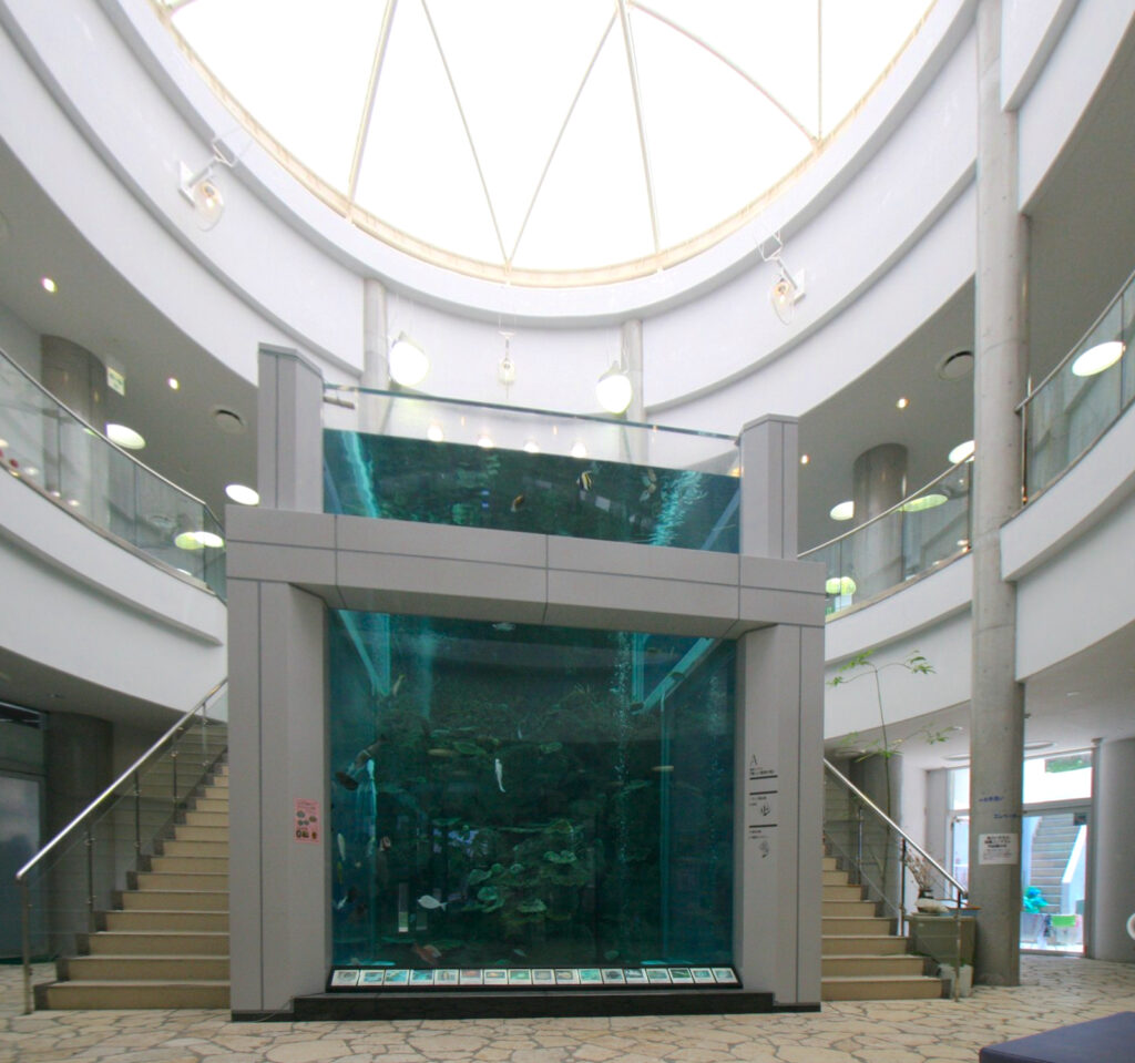 奄美海洋展示館