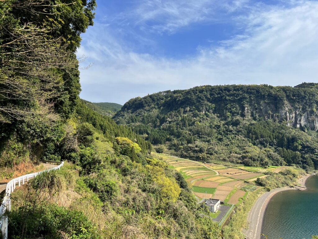 新永吉の棚田