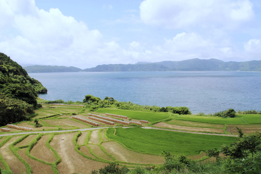 新永吉の棚田