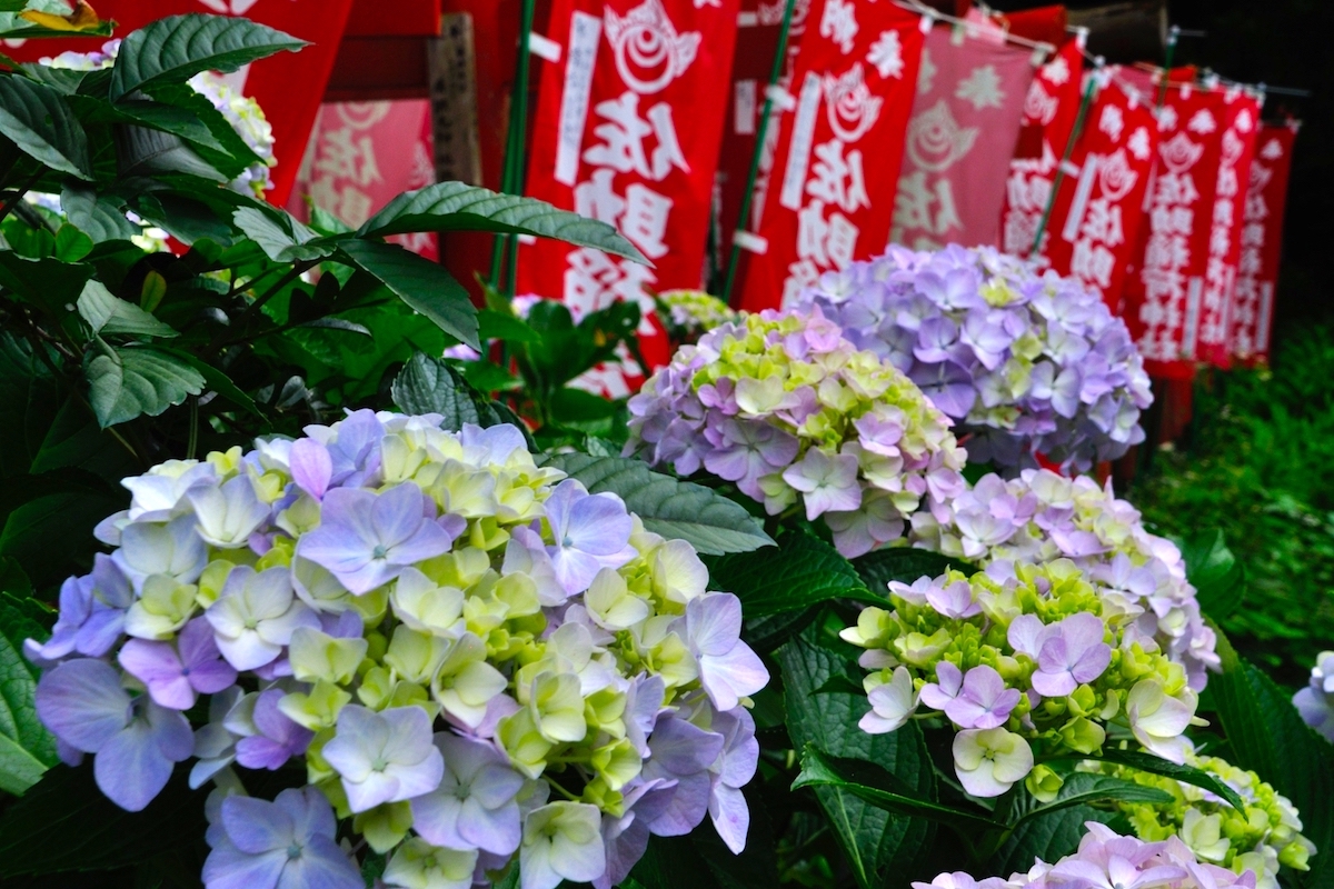 佐助稲荷神社