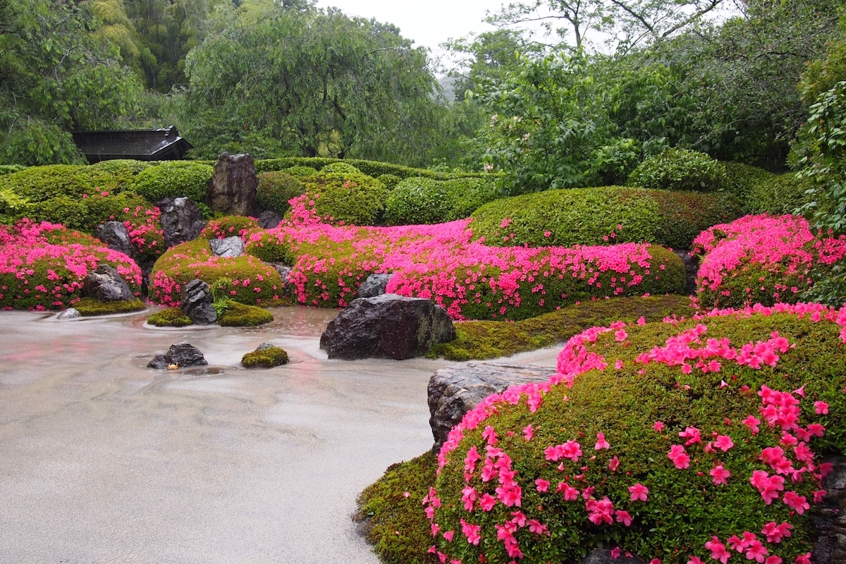 明月院