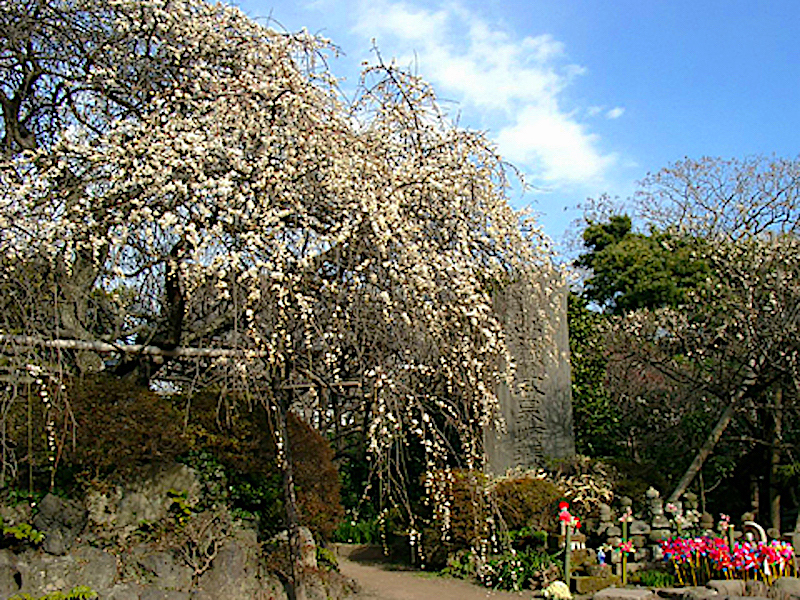 宝戒寺