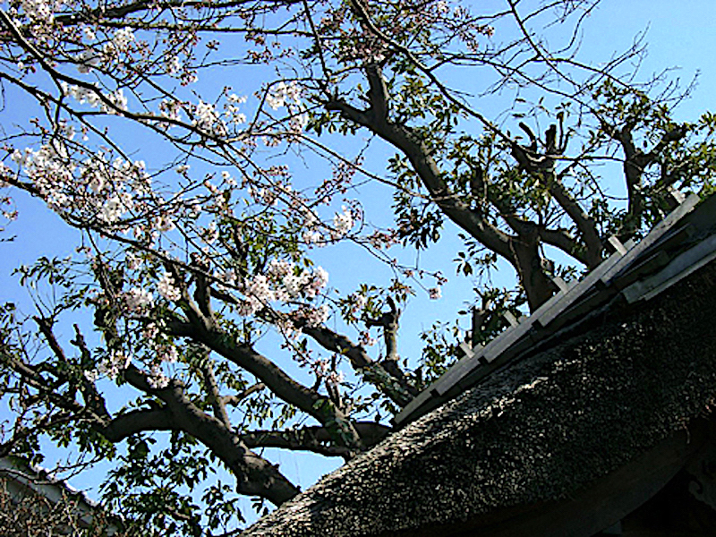 宝戒寺