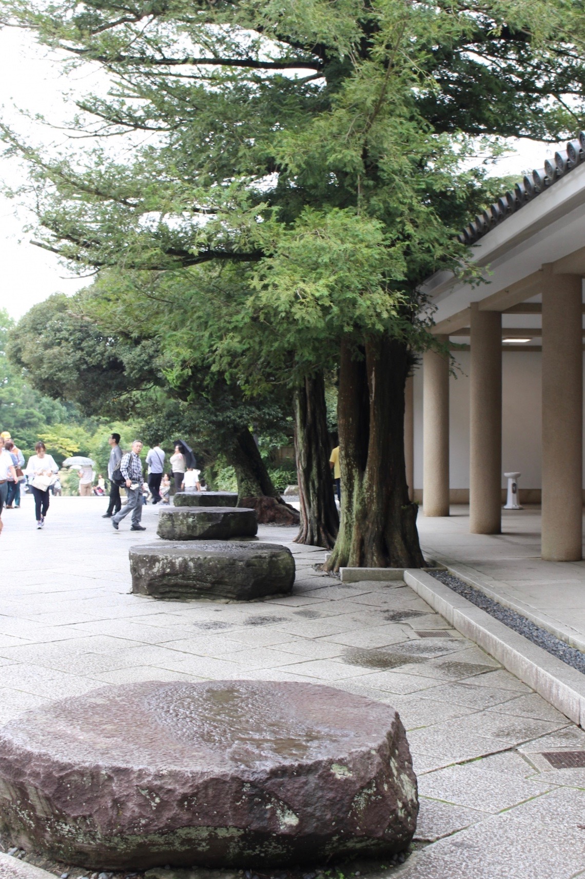 高徳院(鎌倉大仏)