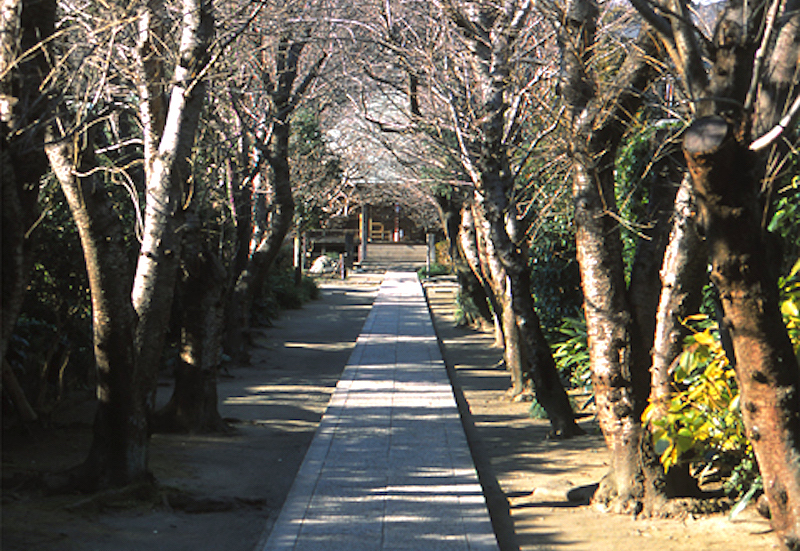 極楽寺