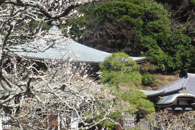 瑞泉寺