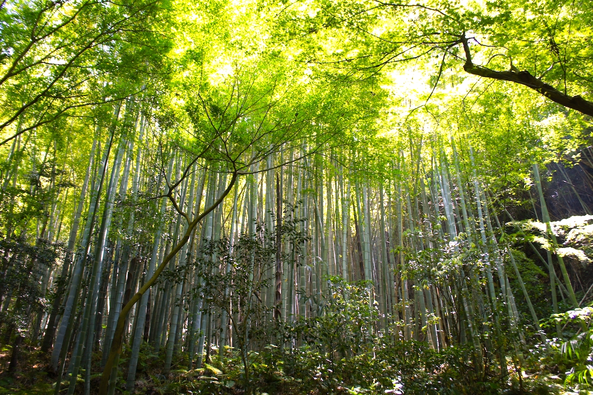 瑞泉寺
