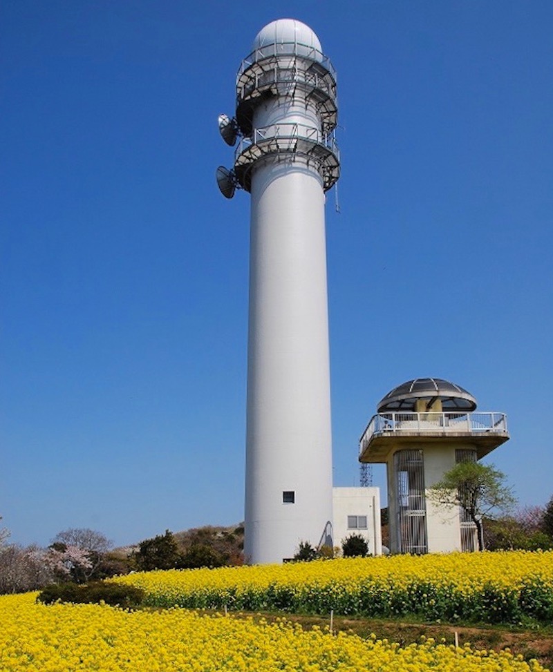 大楠山
