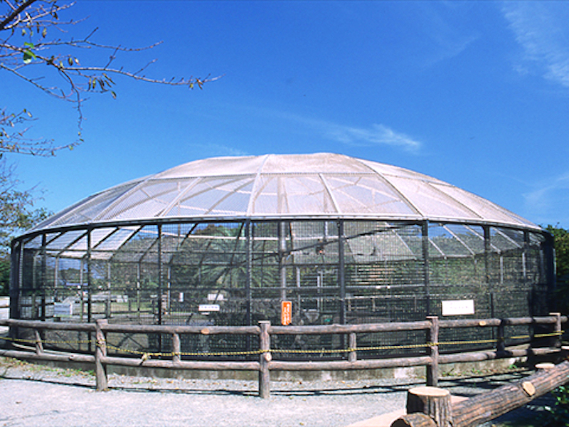 披露山公園