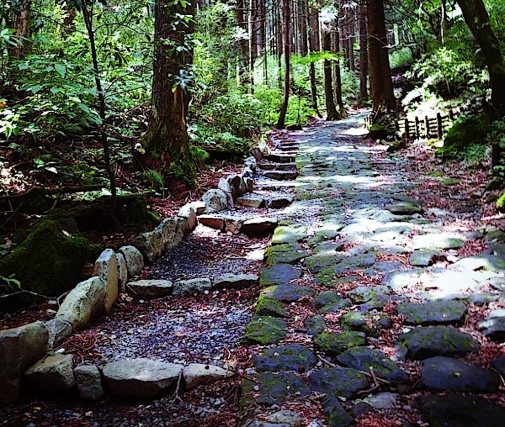 箱根旧街道石畳（東坂）