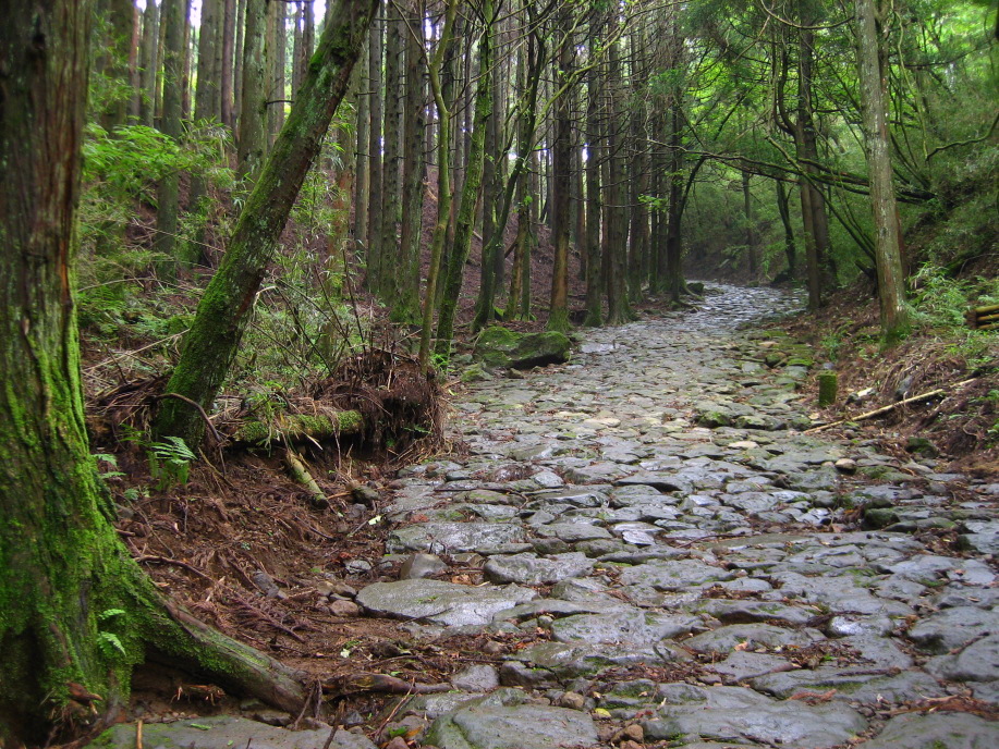 箱根旧街道石畳（東坂）