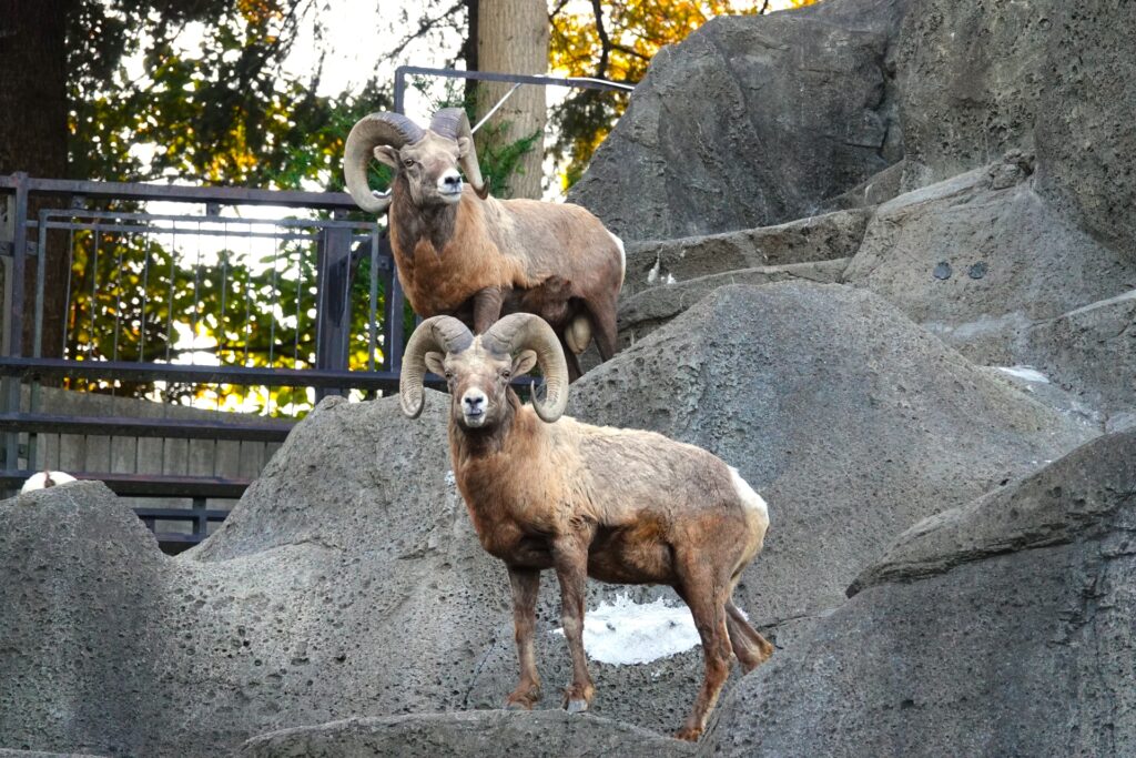横浜市立金沢動物園