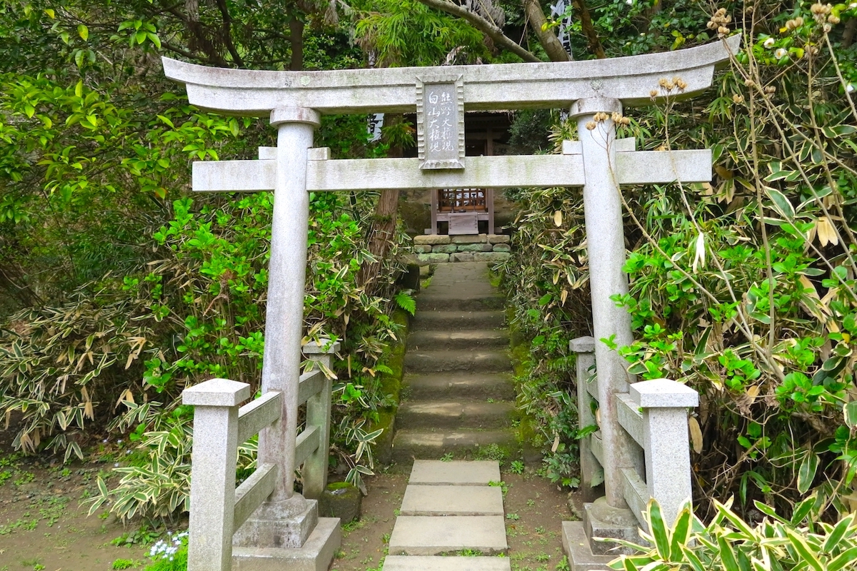 杉本寺