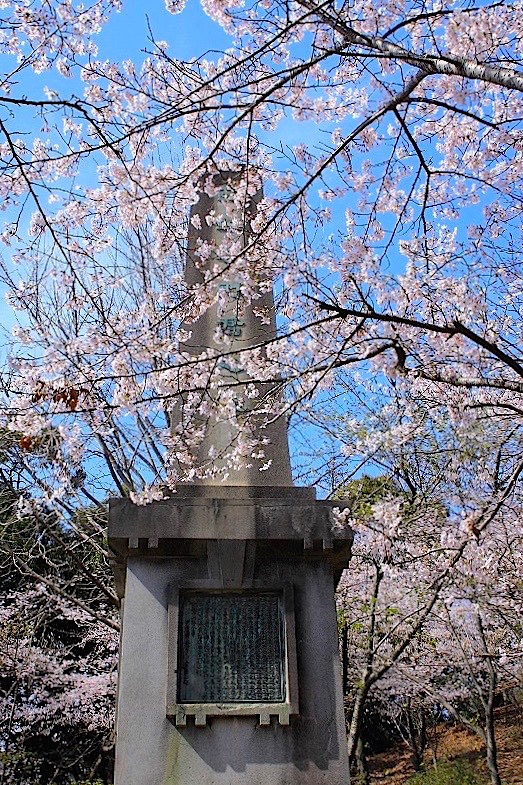 衣笠山公園