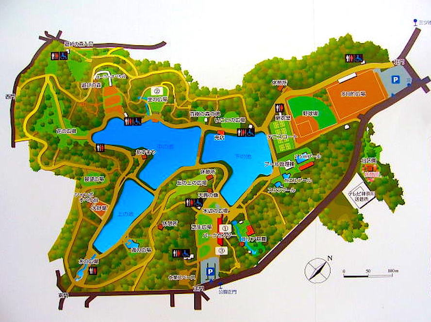 神奈川県立三ツ池公園