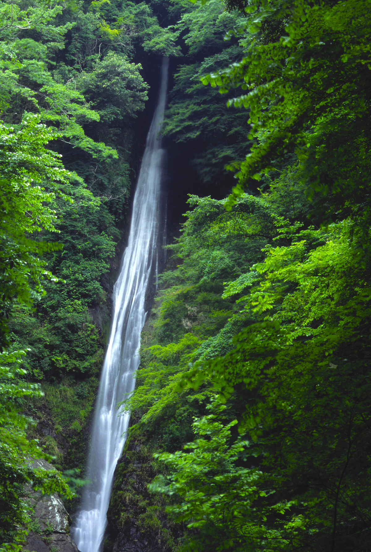 洒水の滝