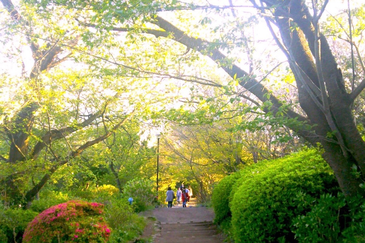 湘南平(高麗山公園)