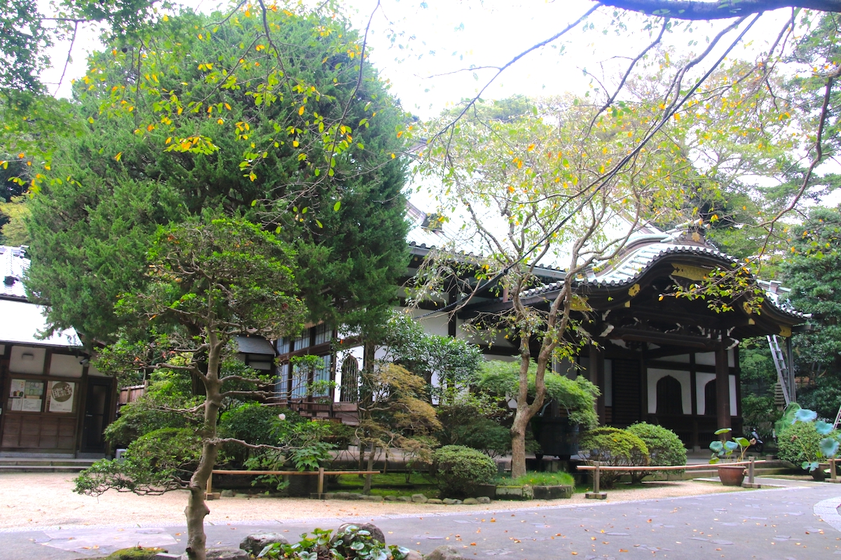 妙本寺