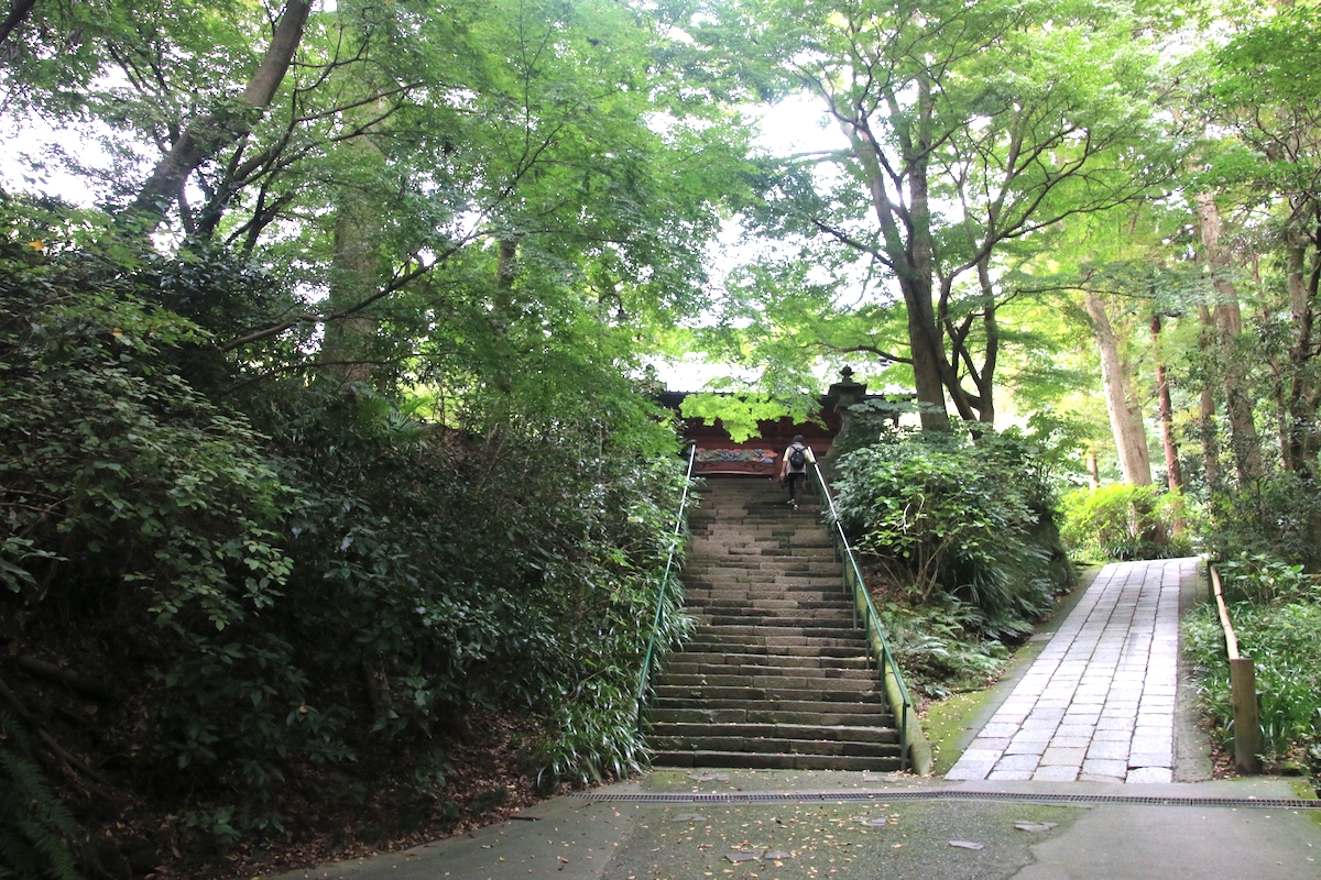 妙本寺