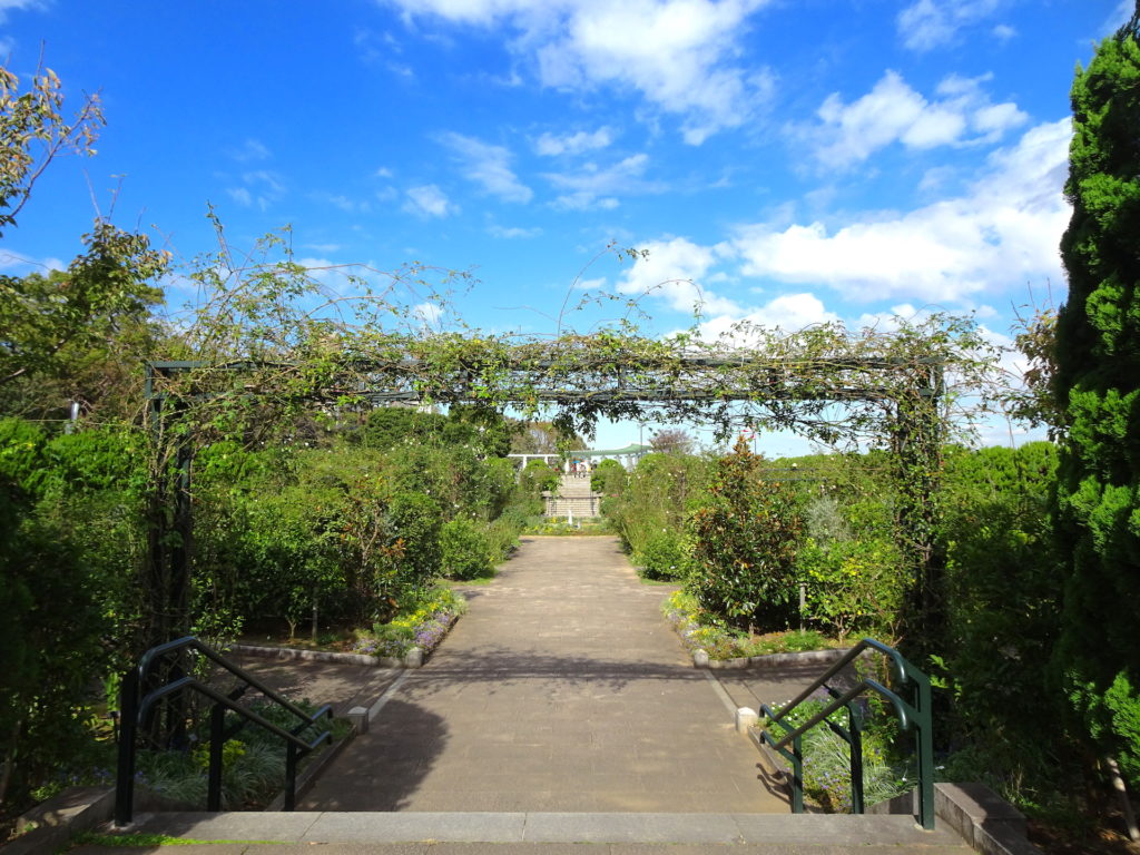 港の見える丘公園イギリス山・香りの庭（沈降花壇）