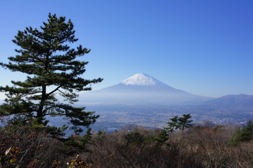 足柄峠