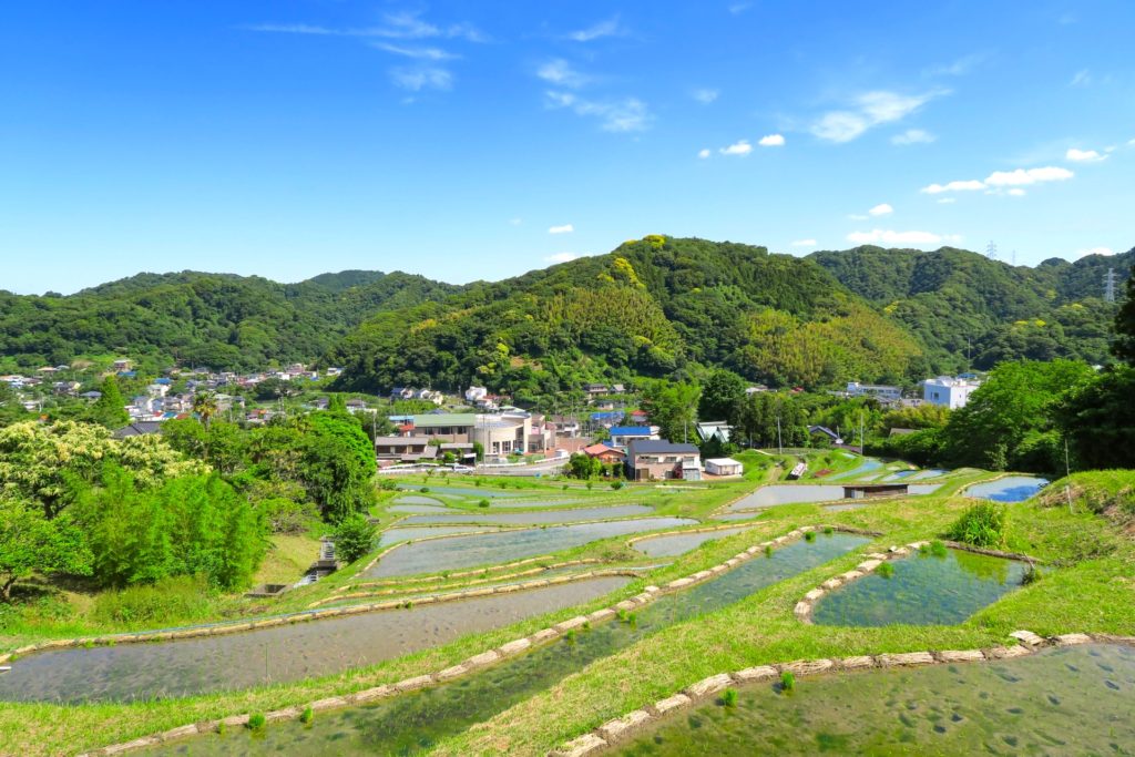 葉山の棚田（上山口の棚田）